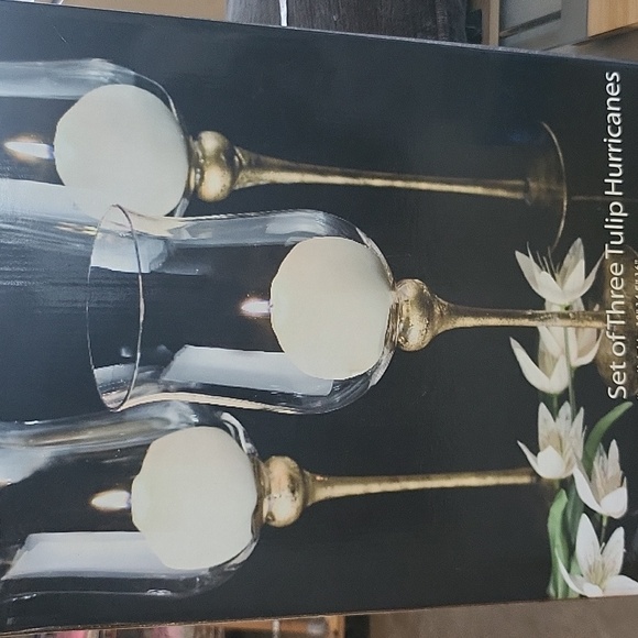 Florentine Collection Set of 3 Tulip Hurricane Candle Holders Frosted Brass - Picture 10 of 10